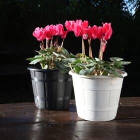 Maceta Facetado 21 - Colores Clásicos - Imagen 4