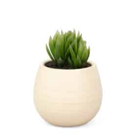 Maceta Autorriego 1 - Colores brillantes - Imagen 3