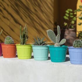 Maceta Facetado 10 - Colores Clasicos - Imagen 5