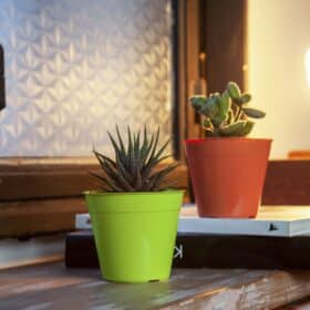 Maceta Clásica 10 - Colores Brillantes - Imagen 6