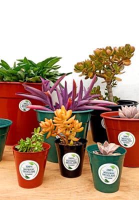 Eco Reciclada 18 - Imagen 3