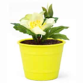 Maceta Facetado 18 -Colores Pasteles - Imagen 2