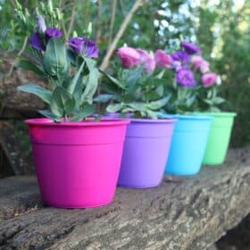 Maceta Simil 12 - Colores fuertes - Imagen 3