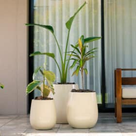 Maceta Uovo Chica Marfil - Imagen 5