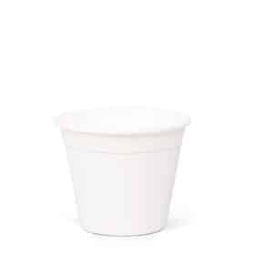 Maceta Clásica 12 - Colores Clasicos