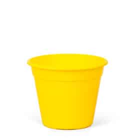 Maceta Clásica 14-Colores Fuertes