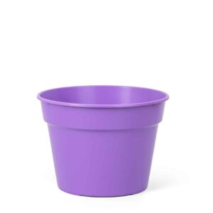 Maceta Clásica 24-Colores Fuertes