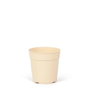 Maceta Clásica 6 - Colores Brillantes