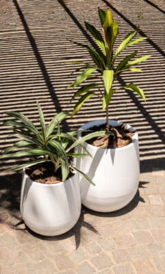 Maceta Uovo Grande Blanco - Imagen 6