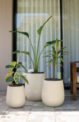 Maceta Uovo Mediana Marfil - Imagen 6