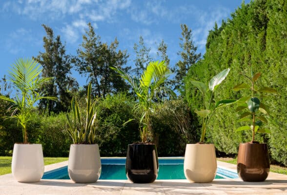 Maceta Uovo Mediana Negro - Imagen 12