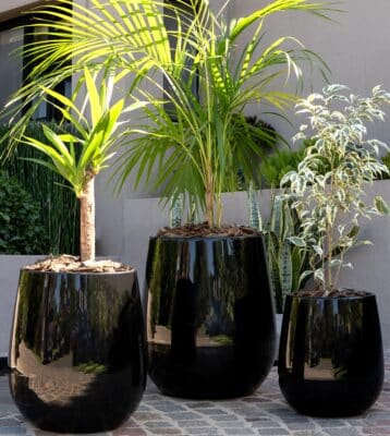 Maceta Uovo Mediana Negro - Imagen 5