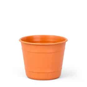 Maceta Facetado 10 - Colores Clasicos