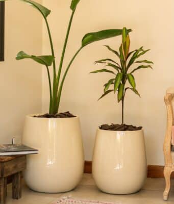 Maceta Uovo Mediana Marfil - Imagen 5