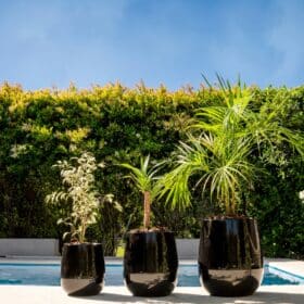 Maceta Uovo Mediana Negro - Imagen 6