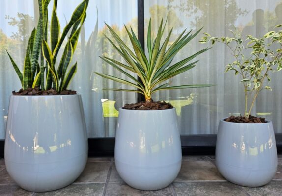 Maceta Uovo Mediana Cemento - Imagen 5