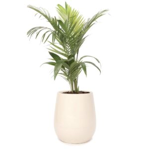 Maceta Uovo Grande Marfil - Imagen 2