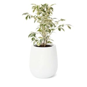 Maceta Uovo Mediana Blanco - Imagen 2