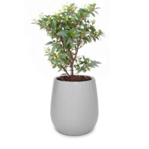 Maceta Uovo Mediana Cemento - Imagen 2