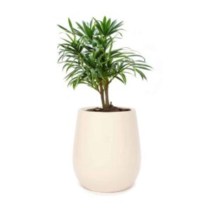 Maceta Uovo Mediana Marfil - Imagen 2