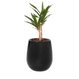 Maceta Uovo Mediana Negro - Imagen 2