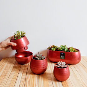 Set Autorriego 6 unidades - Cobre - Imagen 5