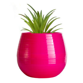 Maceta Autorriego 1 - Colores fuertes - Imagen 4