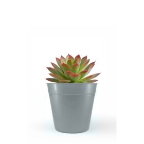 Maceta Clásica 10 - Colores Brillantes - Imagen 2