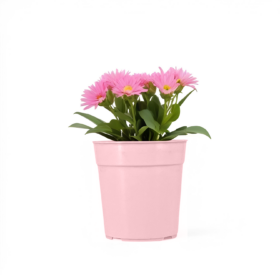 Maceta Clásica 6 - Colores Pasteles - Imagen 2