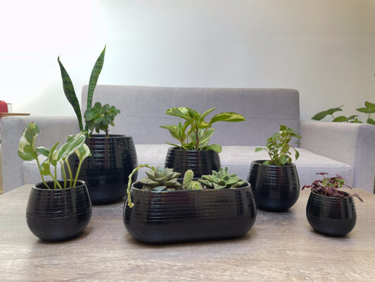 Maceta Autorriego 5 - Colores brillantes - Imagen 8