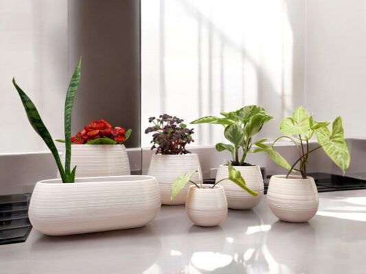 Maceta Autorriego 1 - Colores brillantes - Imagen 9