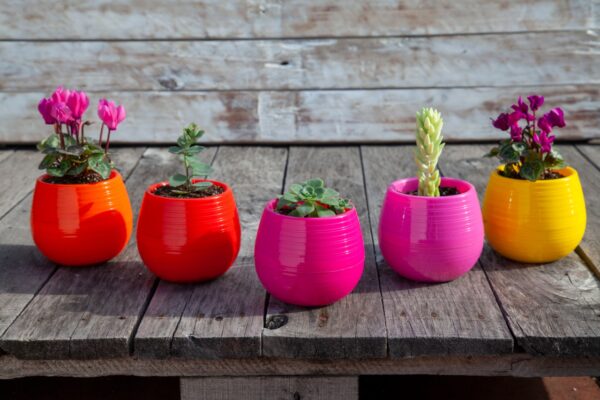 Maceta Autorriego 1 - Colores fuertes - Imagen 7