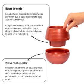 Maceta Autorriego Jardinera 20 - Colores brillantes - Imagen 5