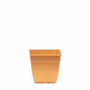 Maceta Cuadrada 6 - Colores Brillantes