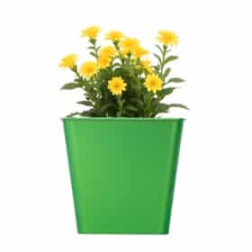 Maceta Cuadrada 16 - Colores Brillantes - Imagen 2