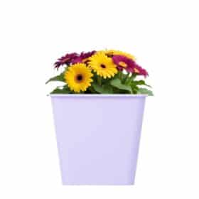 Maceta Cuadrada 16 - Colores Bebé - Imagen 2