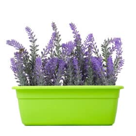 Maceta Jardinera 35 - Colores Fuertes - Imagen 2