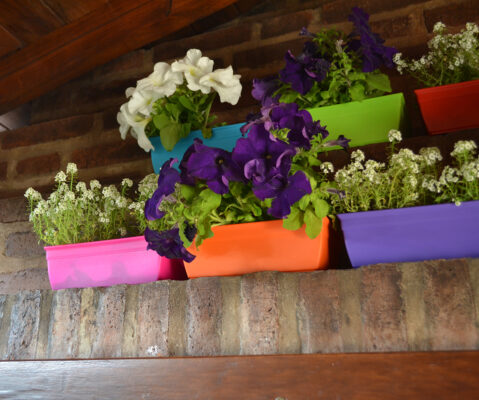 Maceta Jardinera Mini 20 - Colores Clasicos - Imagen 5