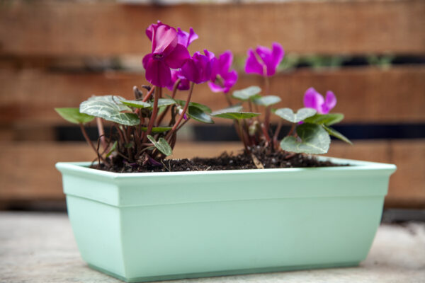 Maceta Jardinera Mini 20 - Colores Bebé - Imagen 5