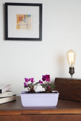 Maceta Jardinera Mini 20 - Colores Bebé - Imagen 4