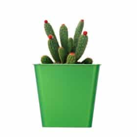 Maceta Cuadrada 10 - Colores Brillantes - Imagen 2