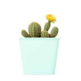 Maceta Cuadrada 10 - Colores Bebé - Imagen 2