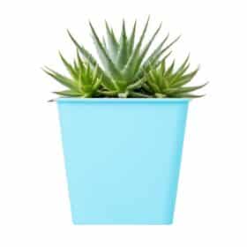 Maceta Cuadrada 12 - Colores Bebé - Imagen 2