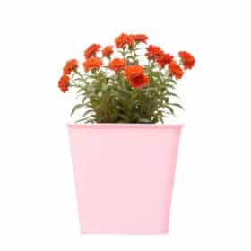 Maceta Cuadrada 14 - Colores Bebé - Imagen 2