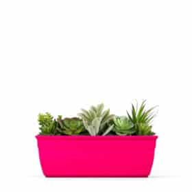 Maceta Jardinera Mini 20 - Colores Fuertes - Imagen 2