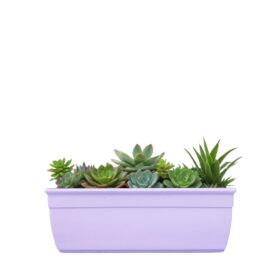 Maceta Jardinera Mini 20 - Colores Bebé - Imagen 2