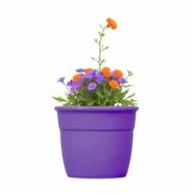 Maceta Simil 12 - Colores fuertes - Imagen 2