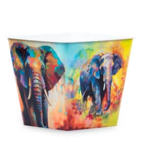 Deco Cuadrada 16 - Elefantes