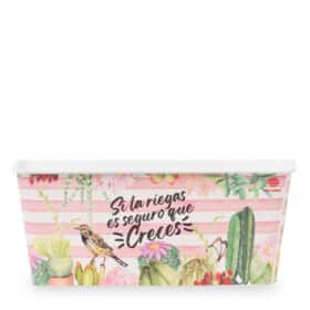 Deco Jardinera 20 - Florece - Imagen 3