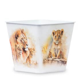 Deco Cuadrada 16 - Leones